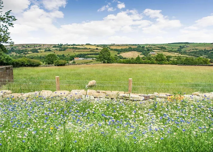 Дом отдыха Ivylea Barn